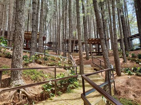 bukidnon resort|Complete Guide For Your Next Bukidnon Adventure .